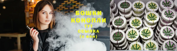 прущие грибы Волосово