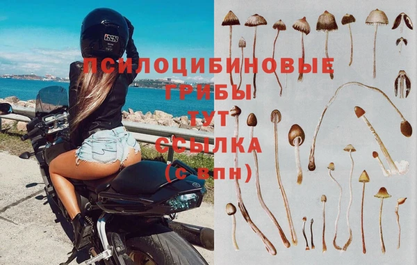 эйфоретик Володарск