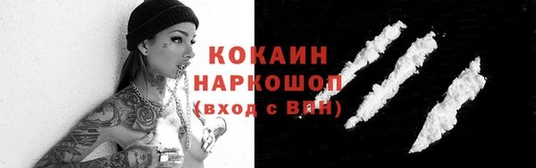 прущие грибы Волосово