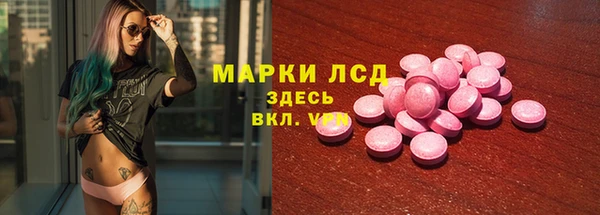 прущие грибы Волосово
